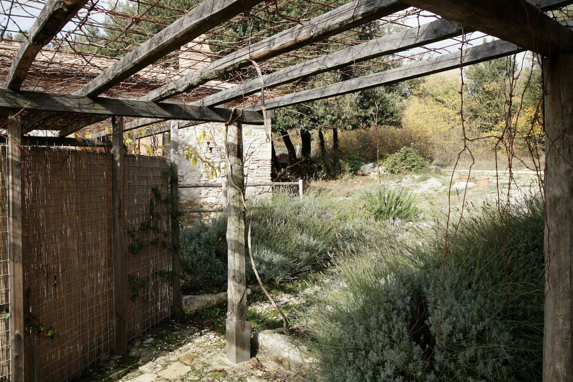 Agriturismo Surripa Amelia Dış mekan fotoğraf